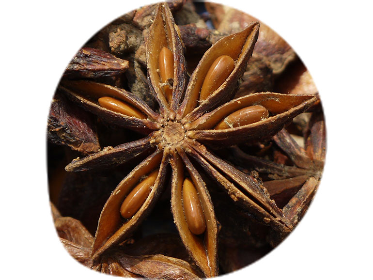 ‘Spice Chains’: Vietnamese Star Anise, Global Markets, and the Making of an Indigenous Commodity 