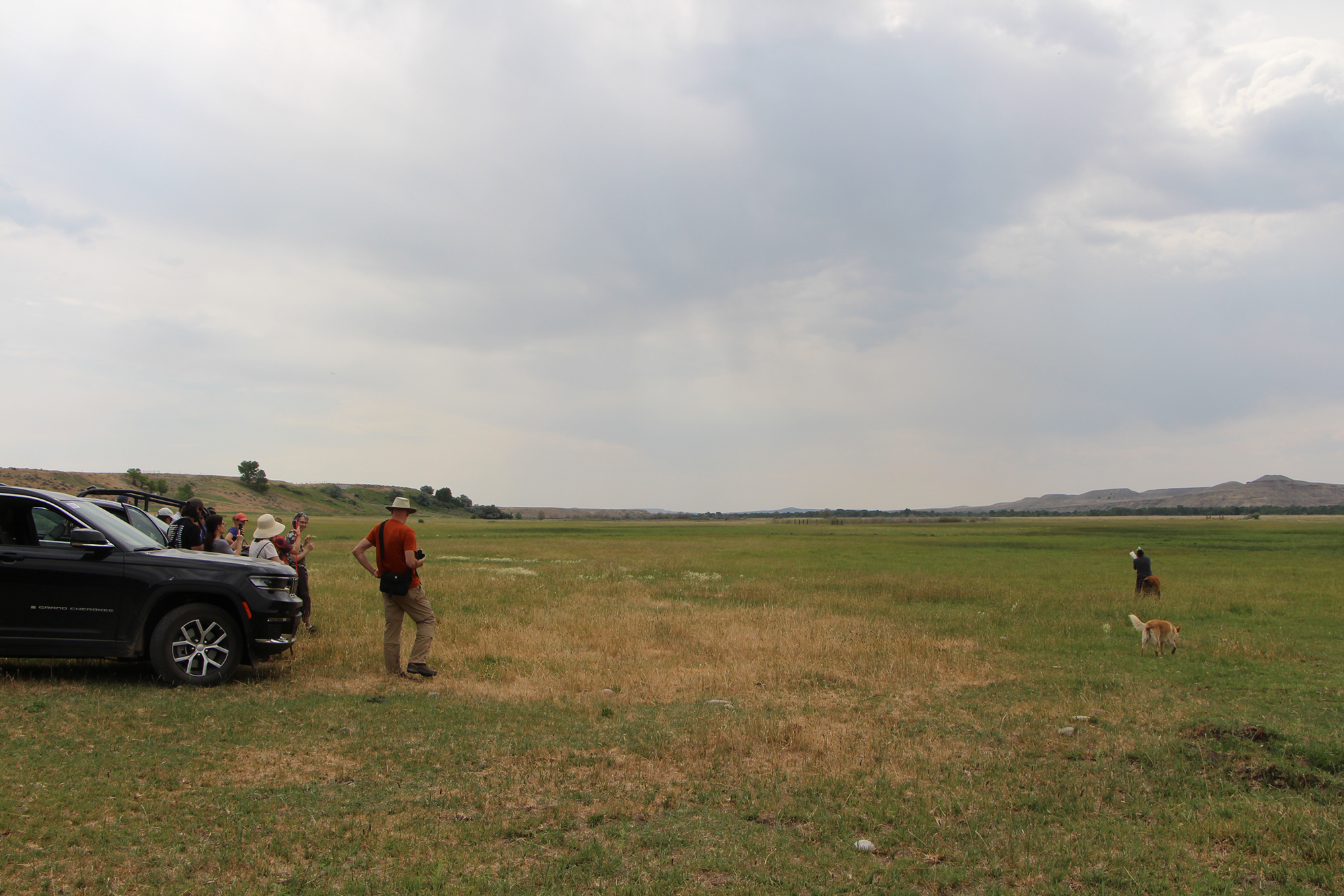 Researchers observing Patti Baldes feeding a buffalo calf. 