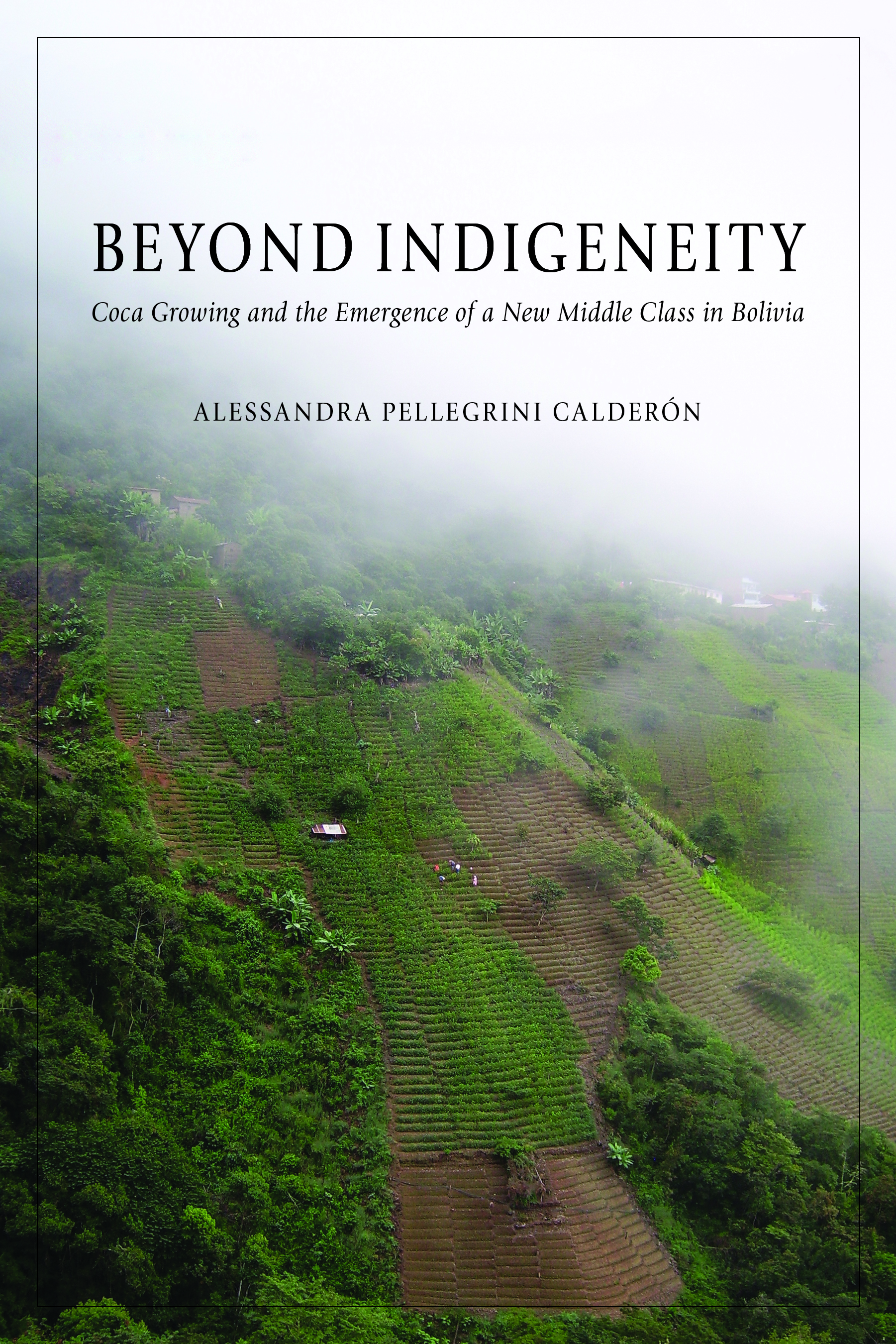 Pellegrini Beyond Indigeneity Cover